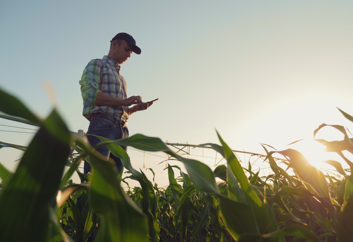 Conectando produtores rurais e profissionais para colher os melhores resultados