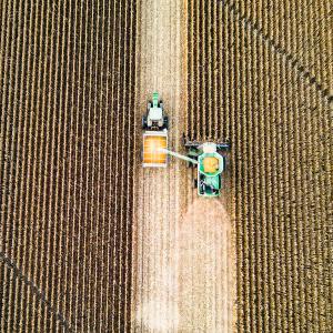 Desafios Climáticos e Plantio Direto: Adaptando-se às Mudanças Climáticas para Promover a Resiliência Agrícola