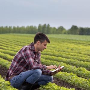 Como um Marketplace Pode Impulsionar o Agronegócio